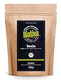 Sencha Grüntee Bio 250g - Spitzenpreis - Vorratspackung für 100 Tassen - Mild, leicht grasig, dabei feinherb und blumig - Fairbiotea-Zertifikat - DE-ÖKO-005